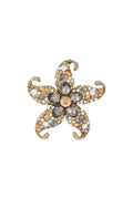 Sterrenbroche