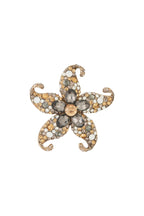 Sterrenbroche