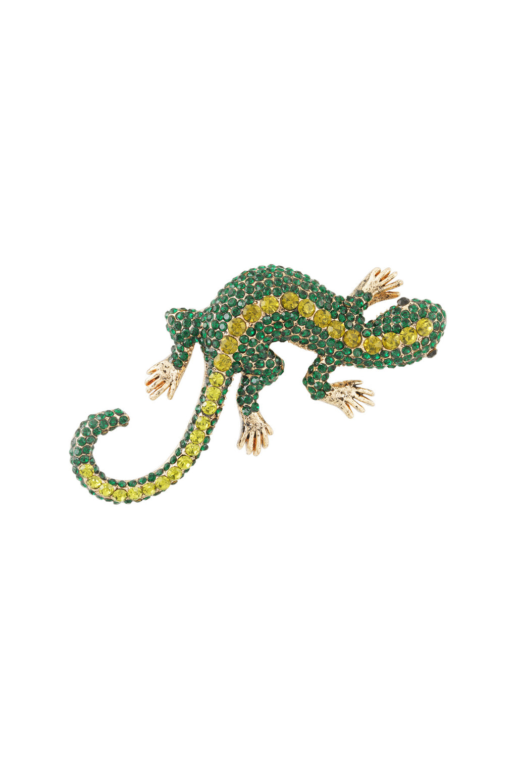 Salamanderbroche