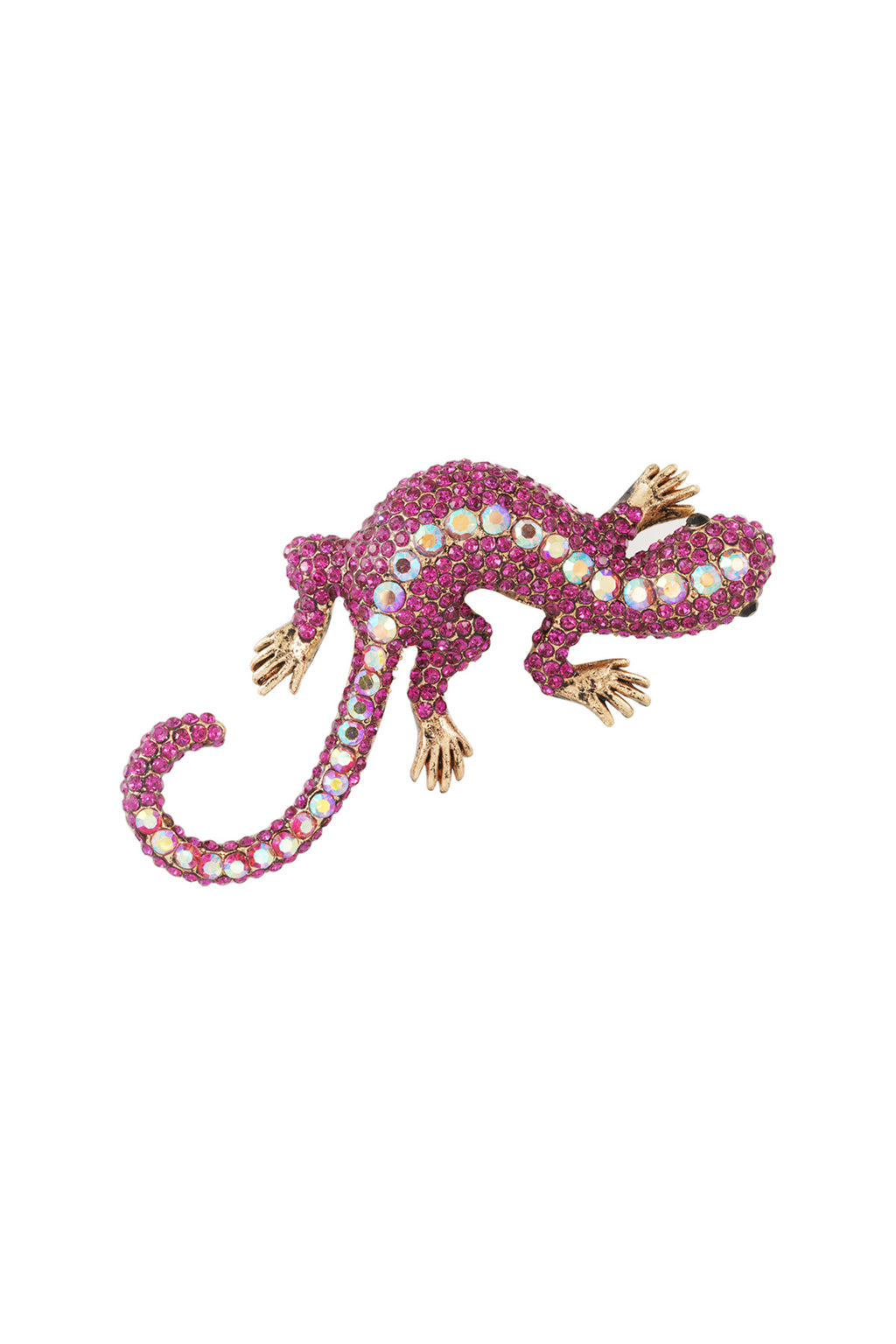 Salamanderbroche
