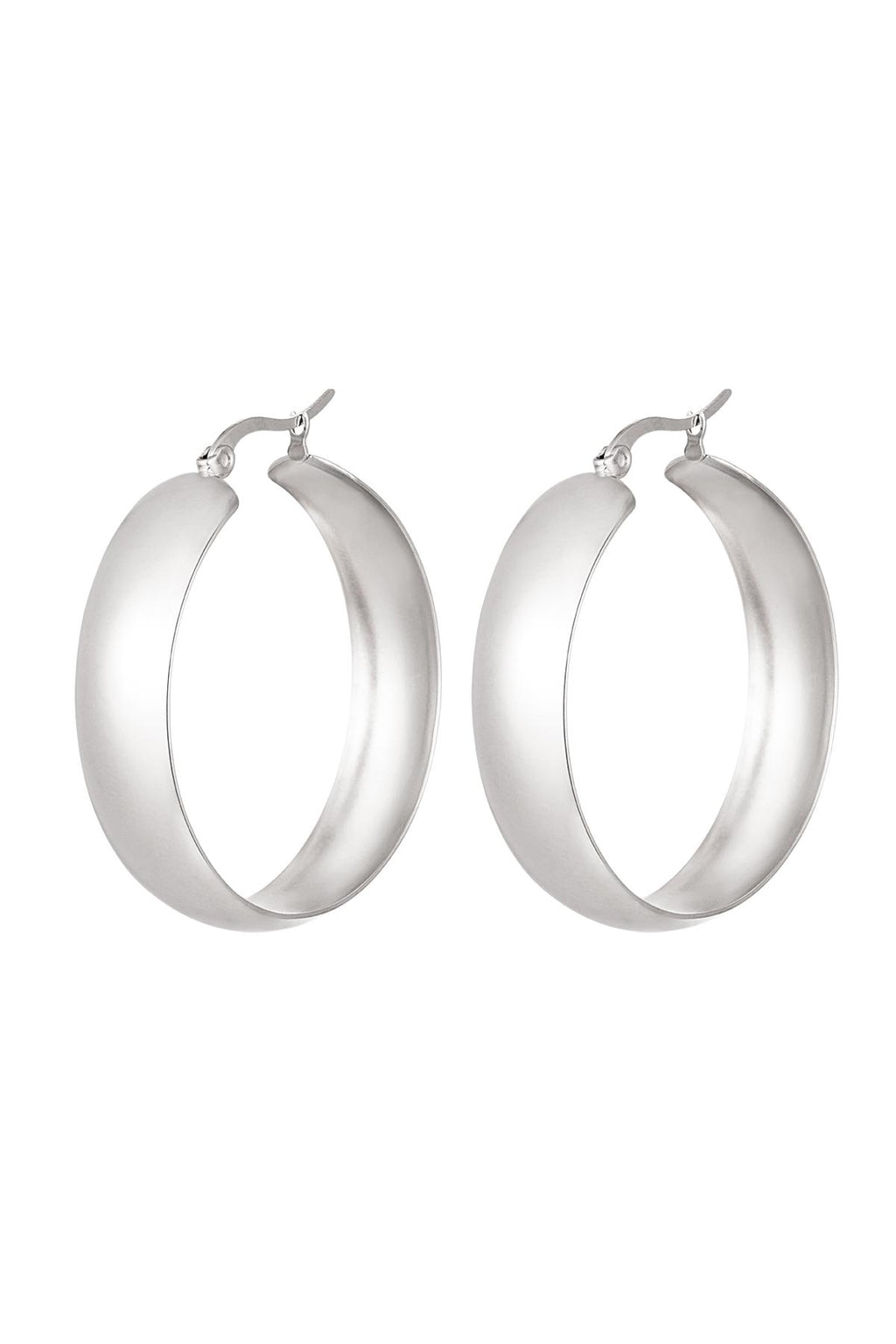 Oorbellen van roestvrij staal – Chic - zilver