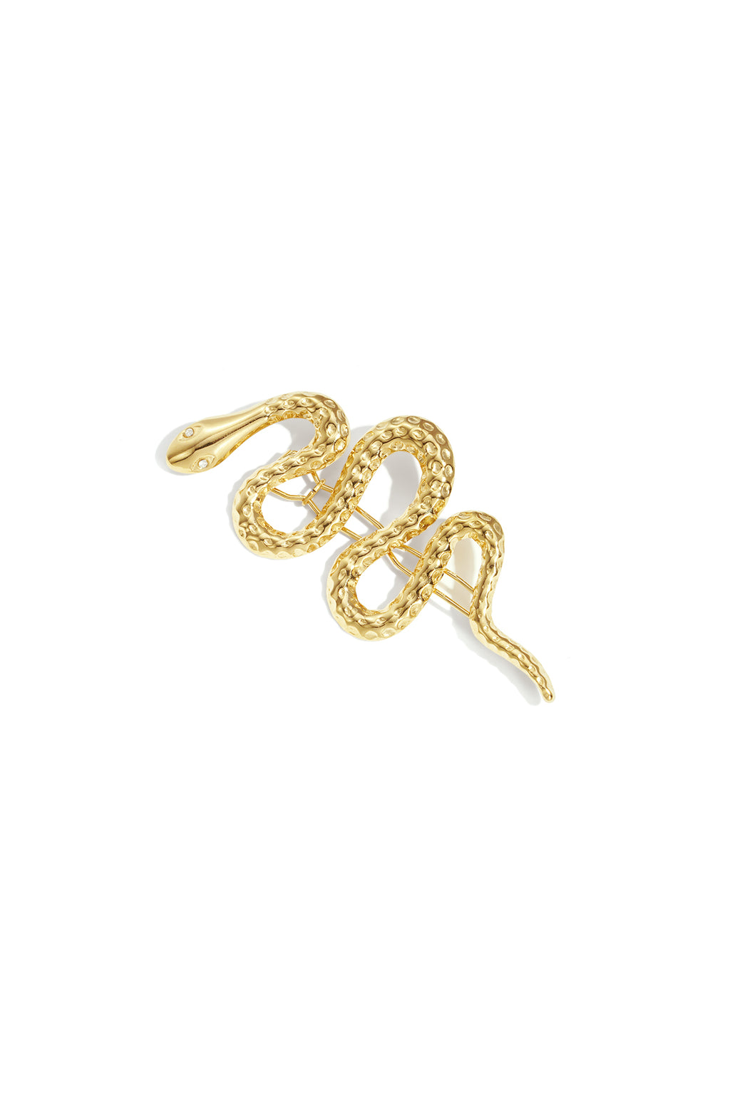 Broches van roestvrij staal – Slang