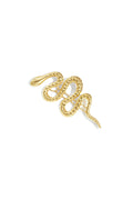 Broches van roestvrij staal – Slang