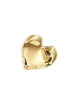 Broche van roestvrij staal – Hart