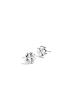 Minimalistische klaveroorknopjes - zilver
